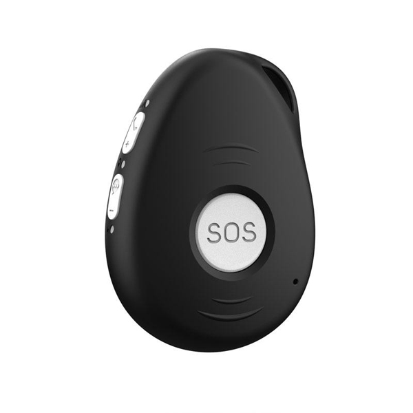 Eview+ Gps Pendant
